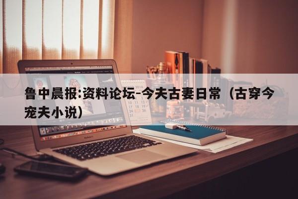 鲁中晨报:资料论坛-今夫古妻日常（古穿今宠夫小说）  第1张