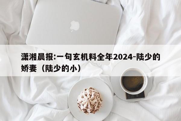 潇湘晨报:一句玄机料全年2024-陆少的娇妻(陆少的小) 第1张 潇湘晨报:一句玄机料全年2024-陆少的娇妻(陆少的小) 第1张